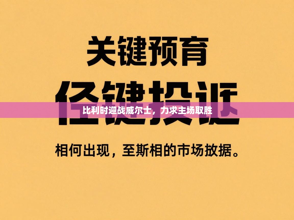 比利时迎战威尔士,力求主场取胜 第2张