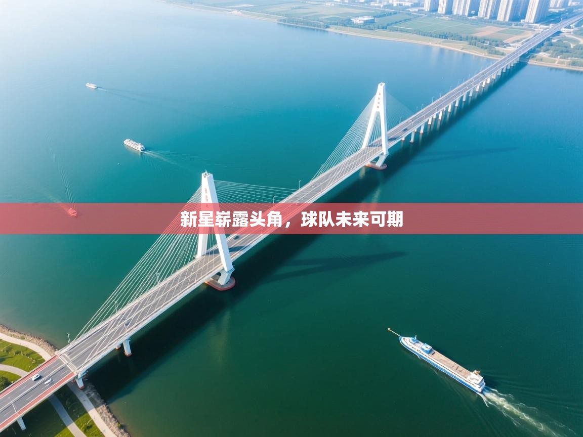 新星崭露头角，球队未来可期  第1张