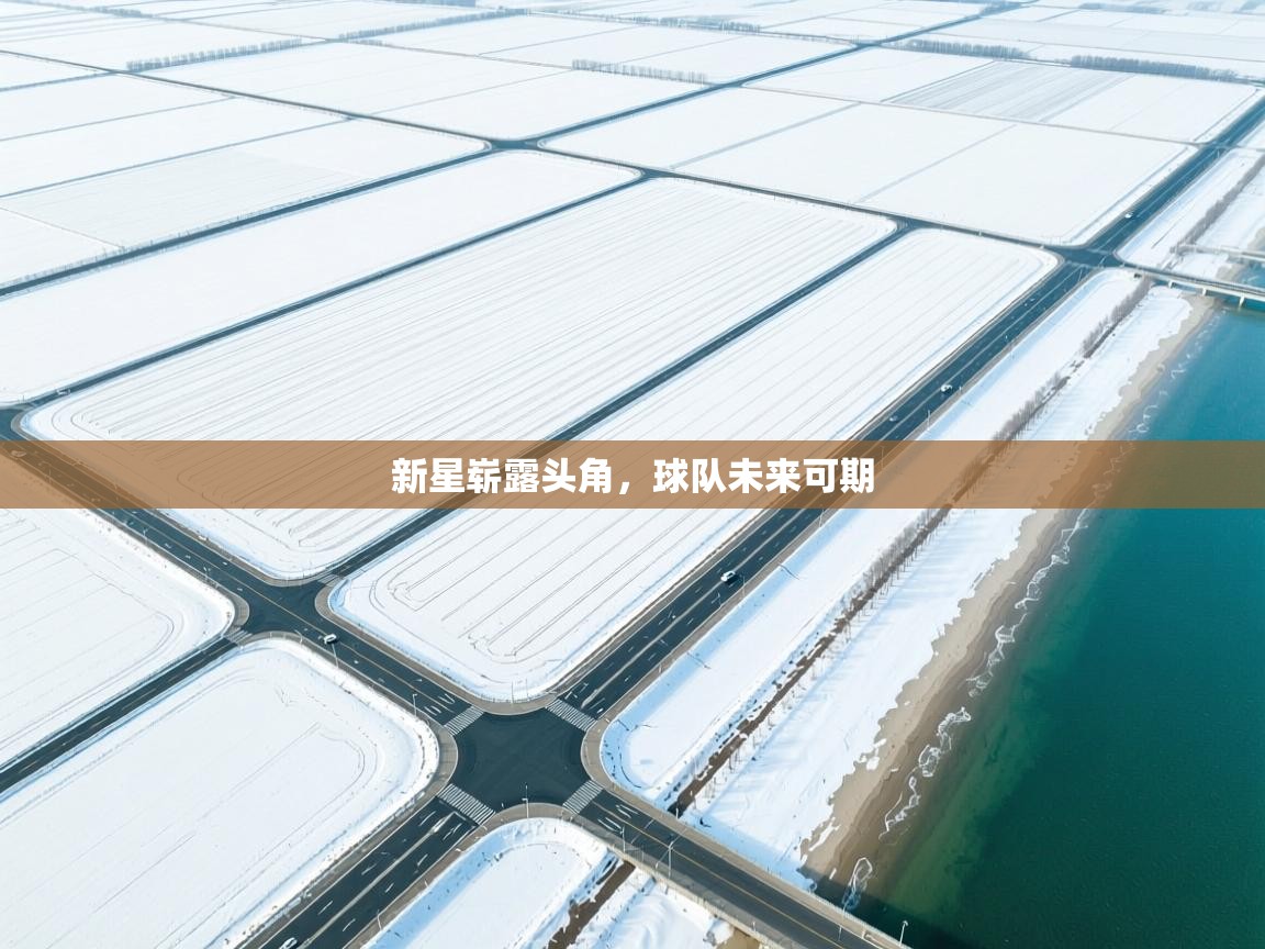 新星崭露头角，球队未来可期  第2张