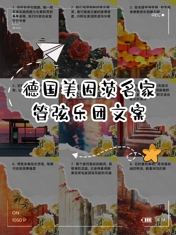 足球世界俱乐部杯-汉堡受挫美因茨争议判罚，再战老对手的简单介绍